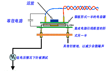 1528704720.jpg 6.jpg