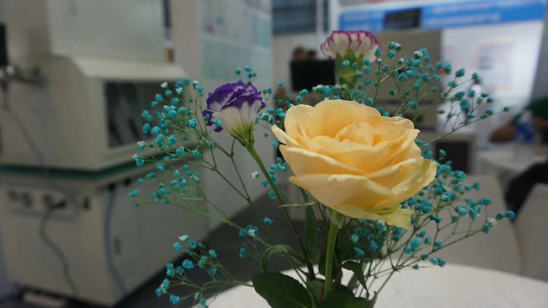 1535677986.png 1535677986.png